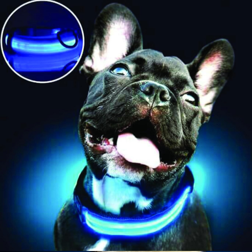 Collier Lumineux Animora pour Chien